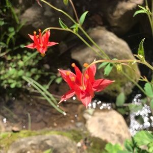 Meet your Posher, Noelle